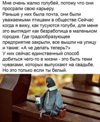 Демотиваторы для тех, кто хочет улыбашек