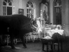 А говорили, что такое только в кино бывает