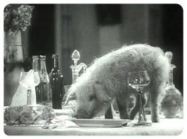 А говорили, что такое только в кино бывает