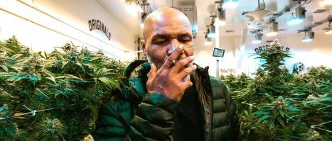 Железный Майк тоже любит цветущие растения.