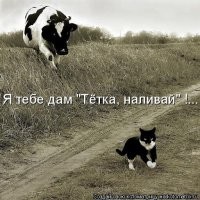 Когда привык гнуть свою линию