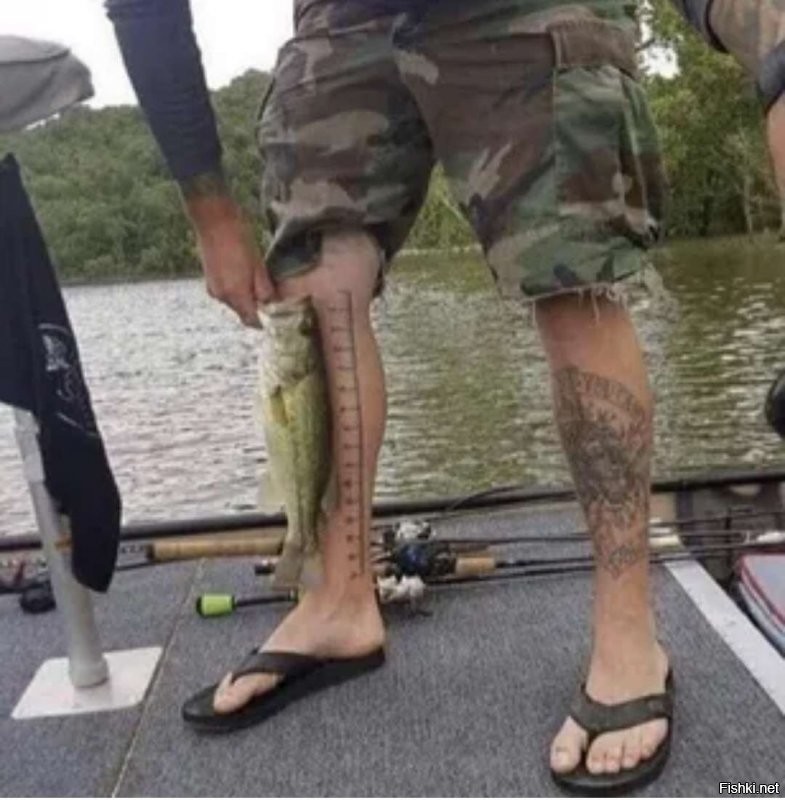 Смешные и познавательные картинки