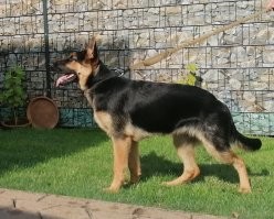 Моя, 6 месяцев.