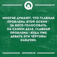 Помогаем решить проблему: сотни идей для расправы над кабачками