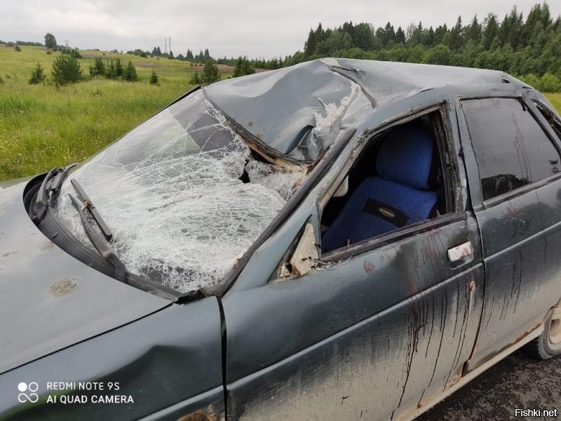 Так да не так. При одинаковых условиях ДТП, выжить в автомобиле шансов больше на 80%. Подушки, ремни, защита кузовом. Если ДТП такое , что машина в смятку и трупы, то и мотоциклиста в аналогичном случае собирали бы по асфальту. А если ситуацию перевернуть наоборот, то в случае смертельного ДТП с мотоциклистом, в аналогичной ситуации, водитель авто может получить легкие травмы, а может и вообще без них обойтись. А про едь со скоростью потока, это не для байкеров. Они не для этого своих коней покупали, со скоростью потока и в машине ездить можно. И на дороге бывает всякое, даже если сам не нарушаешь. Вон на фото ниже, лось выбежал на перерез автолюбителю. Водитель жив, лось нет. А мотоциклист лежал бы в обниму с лосем...такой же неживой.
