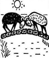 По крутой тропинке горной
Шел домой барашек черный
И на мостике горбатом
Повстречался с белым братом.