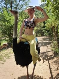 Надо уметь дрессировать