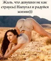 Ага, вряд ли пришлось бы радоваться.
При испуге страус не прячет голову в песок. Он либо бежит (редко) либо атакует (часто и с последствиями).
Страус имеет длинные мощные лапы и  внушительный клюв. Которыми он способен отоварить любое не понравившееся ему существо сопоставимых с ним размеров.
А также страус - жутко тупое и агрессивное создание.