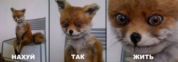 Она убитая туда пришла