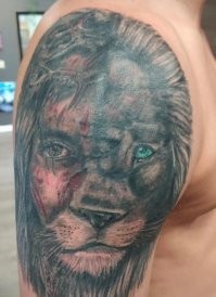 Где то я уже это видел.Один автор походу.