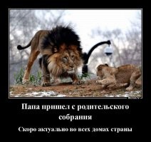 Тут, скорее всего, разворачивается драма. Новый лев придушит чужого львёнка.