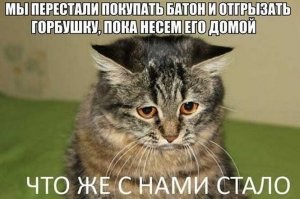 Раньше батон был батоном!