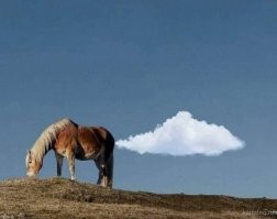 Курильский вулкан Эбеко выбросил в небо огромный столб пепла