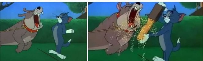 Может на цепи или в вольере?