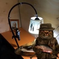 Ты мою лунку занял