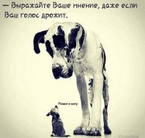 Слон и моська в мире людей