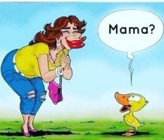 Юмор в картинках