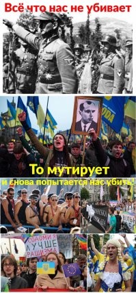 Первая картинка шикарна!!!