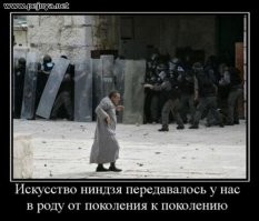 Неудачная попытка побега из полицейского участка