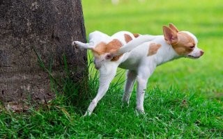 Или так....))))