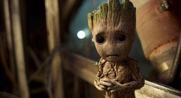 Такие кадры редко увидишь!