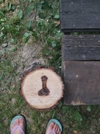 Я тоже как то пилил ствол дерева и как то удачно выбрал место реза, это конечно совпадение, но что есть то есть.