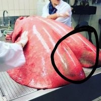 Вот и капля никотина.