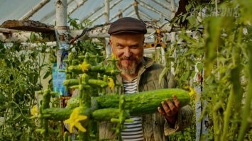 Вас так понимаю впечатлил фрактальный кукумбер, но cucumber это огурец на английском.