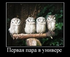 А мы учились в институте по системе завод-ВТУЗ. Пять вузов было таких на Союз.
Неделю учишься, как обычный студент, а неделю, как вечерник.
Так что, юные друзья, перед или после пар нужно было ещё и смену на заводе отпахать...