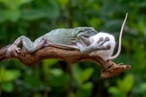 С добрым утром!