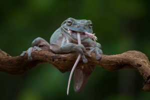 С добрым утром!