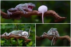 "Нет жалости во мне и неспроста   Я не люблю насилье и бессилье, Вот только жаль..." (с)