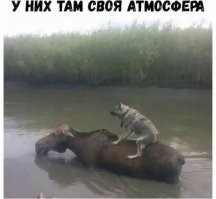 Странный выдался денек