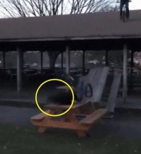 Вот уж точно - фейсом об тейбл.