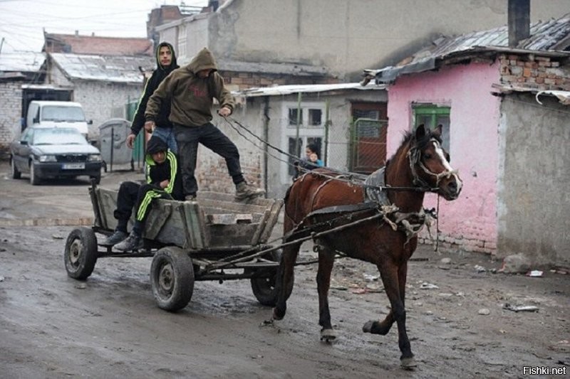 Независимые молдаване едут в Европу