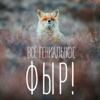 45 милейших фото из самого доброго уголка интернета