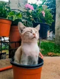 Знакомо, от чего это чувство блаженства