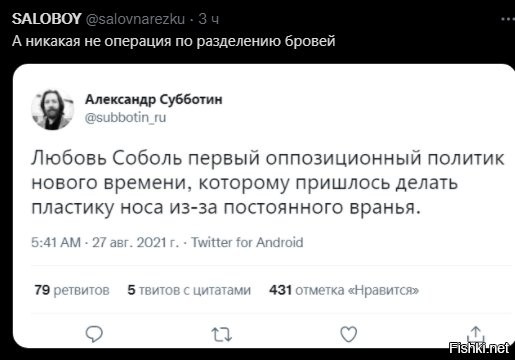 с фига ли политик? она мошенница, чернильница, и т.д. но точно не политик. не надо льстить отбросу этому.