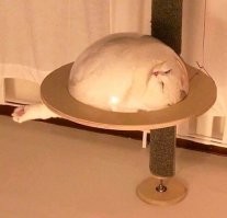 Вам песда, земляне! Мы уже здесь! )))