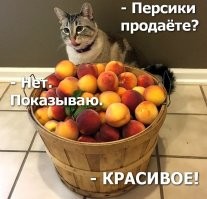 Кому плохо от потепления