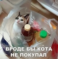 А ты его и не купил.