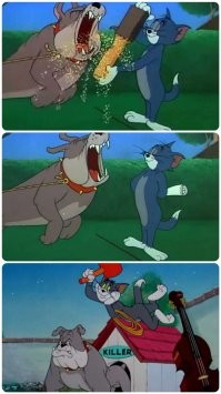 Питерский кот, якобы изводивший соседских собак, освобождён от ответственности