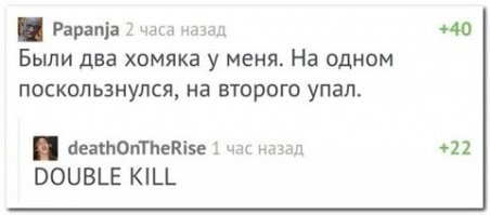 Хомяки и конкурс на самую нелепую смерть: в Твиттере поделились рассказами о домашних питомцах