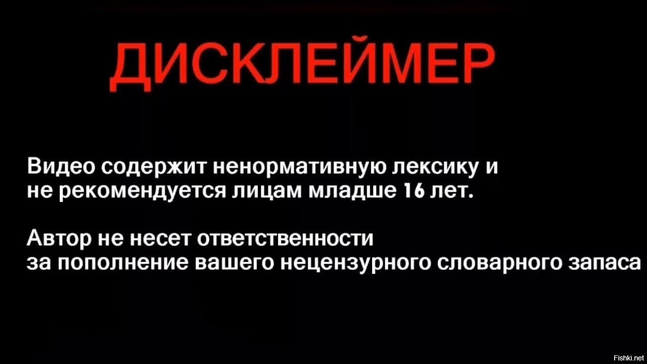 Картинка дисклеймер для видео