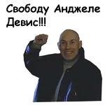 Питерский кот, якобы изводивший соседских собак, освобождён от ответственности