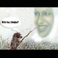 На стройке нашли зверька, который был полностью покрыт глиной 