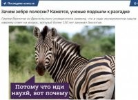 Самые интересные вопросы, на которые есть разумный ответ