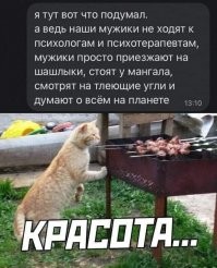 Весёлые картинки