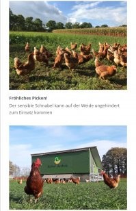 Не совсем так. Все зависит от того где жить и как там все устроено.
У нас очень развито фермерские хозяйство и региональная продукция. Поэтому нет никаких проблем с такой едой при чем это в открытом доступе. Вплоть до того, что можешь не только купить, а тебе проведут экскурсию. 
Кроме того есть такой вид туризма, как "отпуск на ферме", где ты сам в этом непосредственно участвуешь. 

Да, например, яйца с такого хофа будут стоить процентов на 70%, но там и нет таких промышленных масштабов. Поэтому цена вполне адекватная.