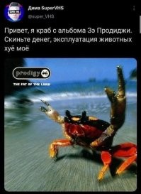 Смешные и познавательные картинки